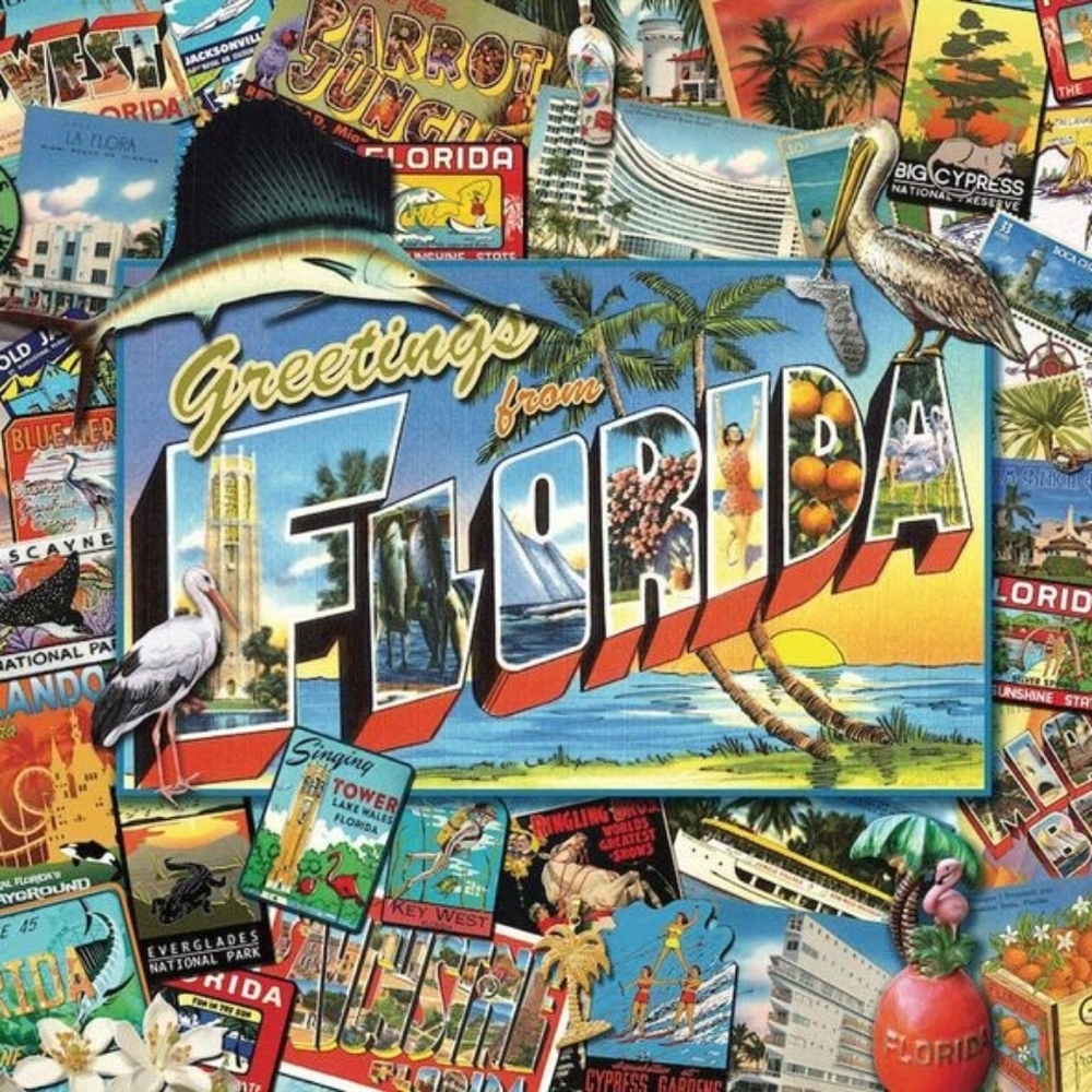 Greetings From Florida 1000 Piece Puzzle